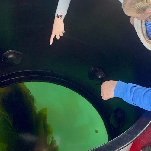 Los Angeles Long Beach Harbor: Eco-Tour Cruise in a Glass Bottom Boat — gallery 4