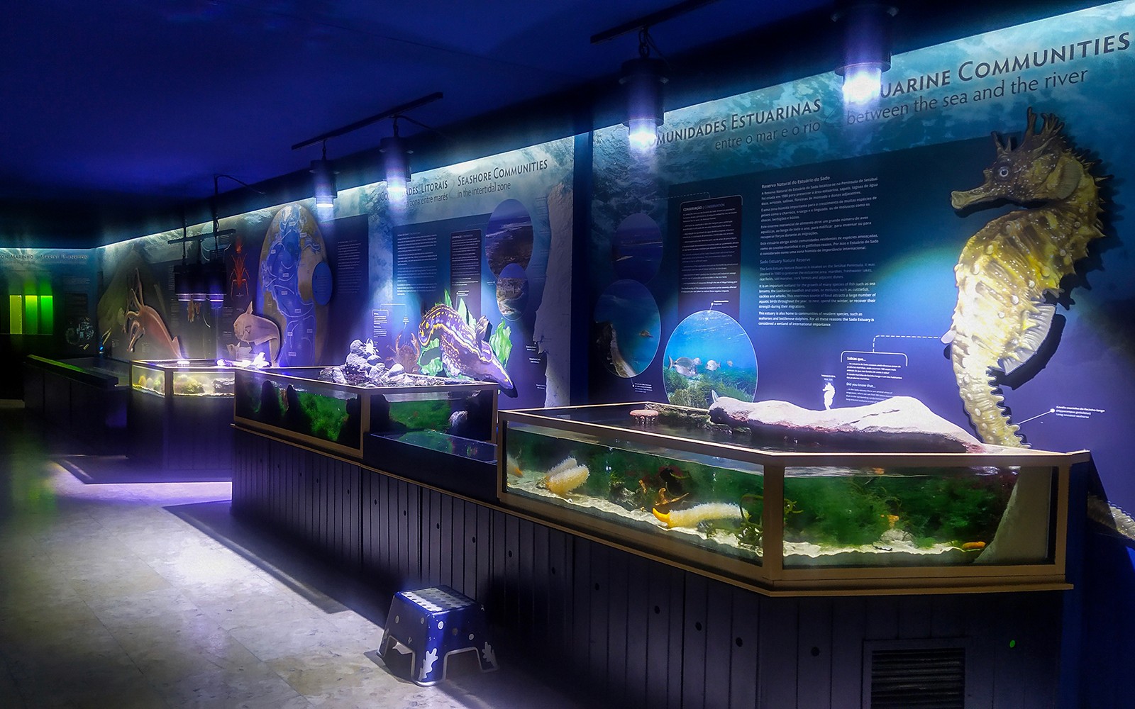 Tickets to Vasco da Gama Aquarium in Lisbon — gallery 1