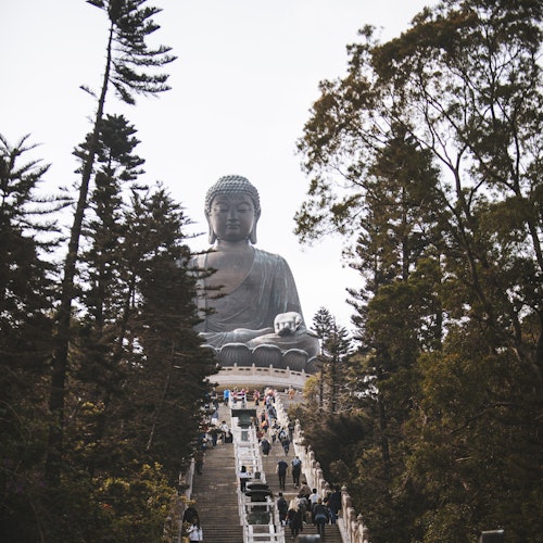 Ngong Ping Cable Car Roundtrip: One-way Standard + One-way Crystal Plus Cabin