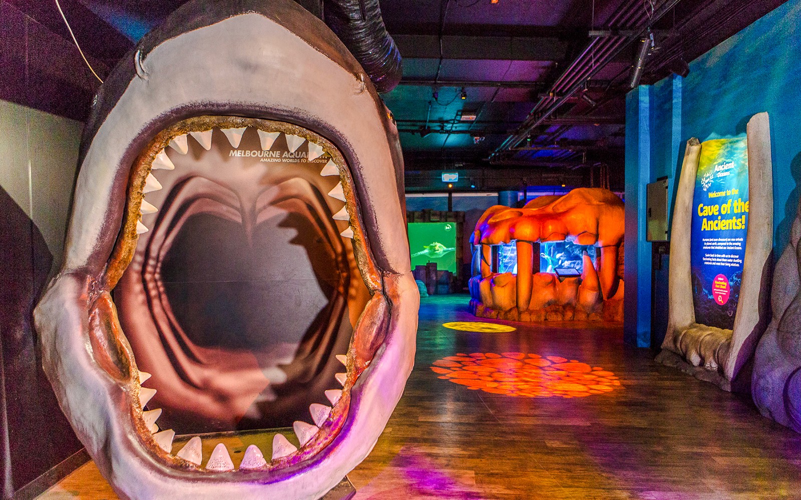 Shark Dive Xtreme Tickets at SEA LIFE Melbourne Aquarium