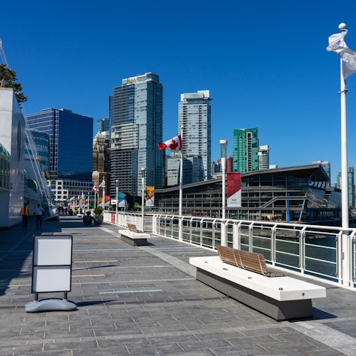 Vancouver: Guided Bus Tour, Lookout Tower Entry & Stanley Park Walking Tour — gallery 2