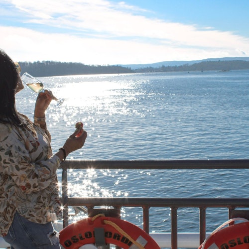 Oslofjord Sightseeing Yacht Cruise — gallery 4