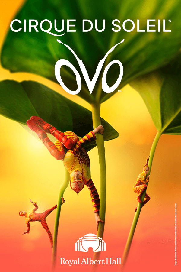 Cirque du Soleil OVO — portrait