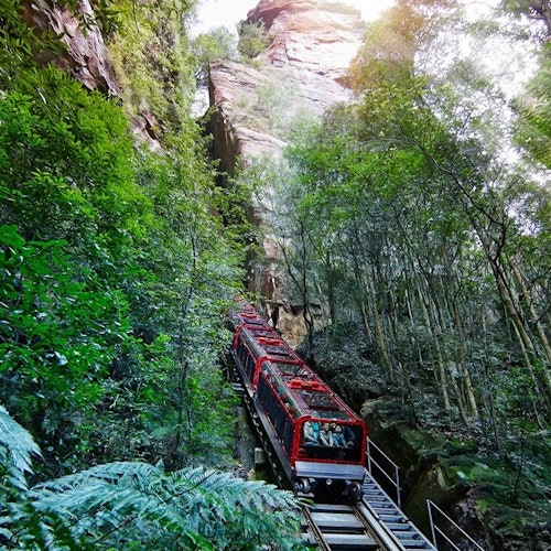 Blue Mountains & Sydney Zoo: Day Tour from Sydney — gallery 1