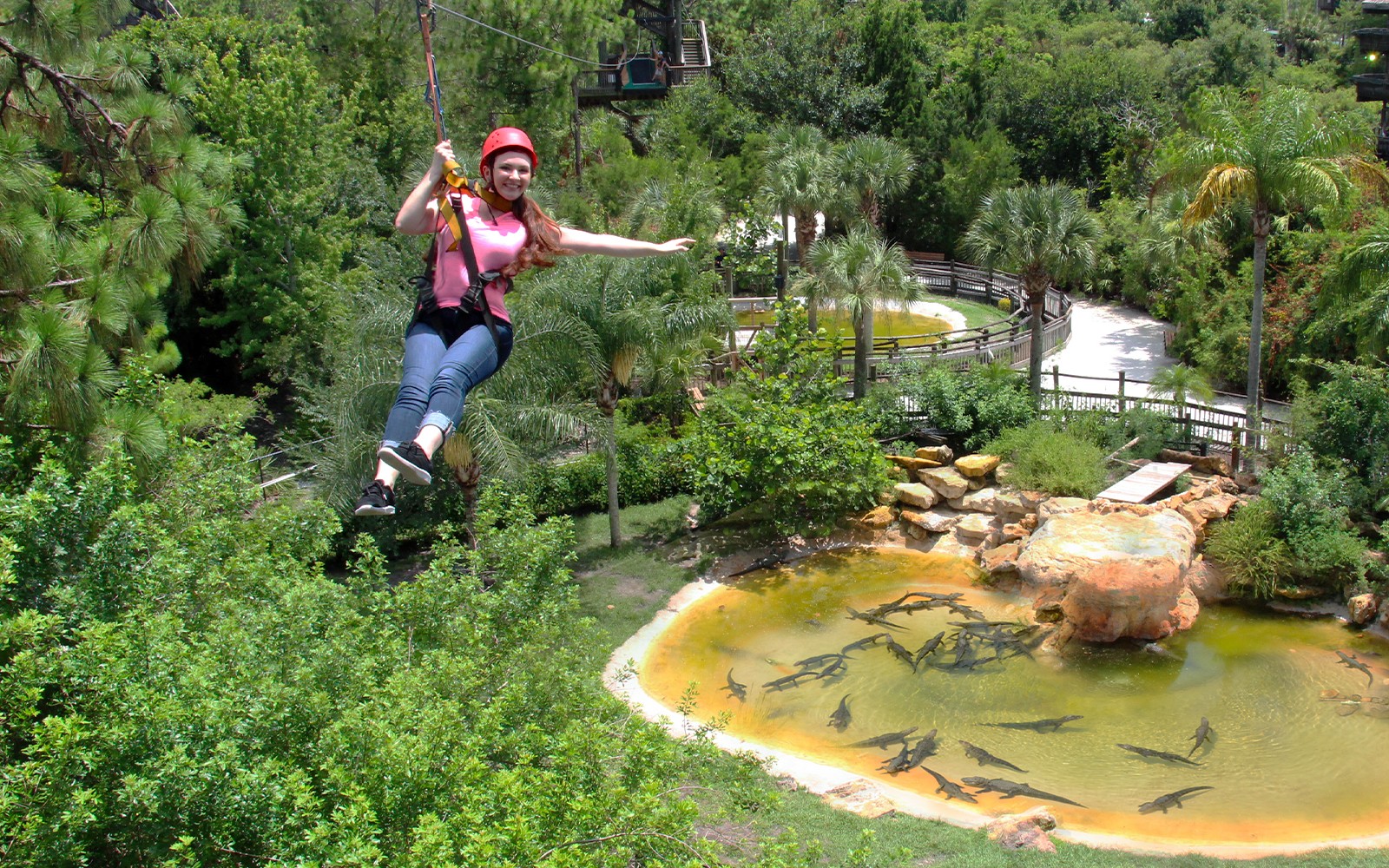 Gatorland Skip-the-Line Tickets — gallery 4