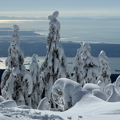 Vancouver: Guided Snowshoeing Tour — gallery 2