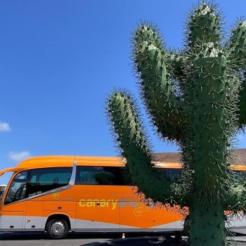 Tenerife: Bus Transfer from South Airport to Los Cristianos