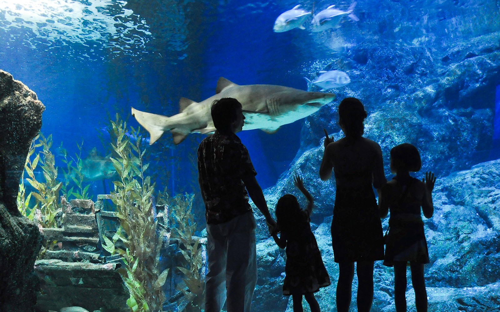 Aquaria Phuket Group Saver Tickets for Foreign Travelers: Group of 3 & More — gallery 2