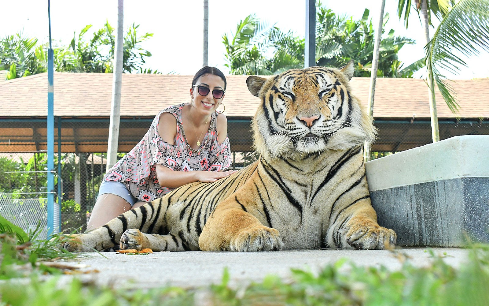 Tiger Park Tickets with Tiger Interactions — gallery 1