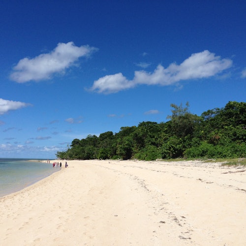 Green Island Ferry Transfer — gallery 2