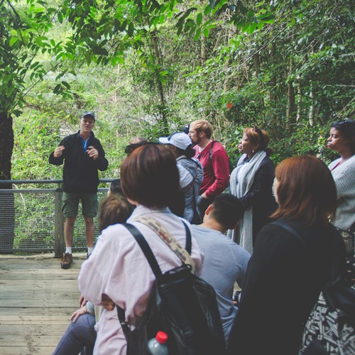 Blue Mountains: Guided Day Tour from Sydney with Featherdale Wildlife & Bushwalk — gallery 4