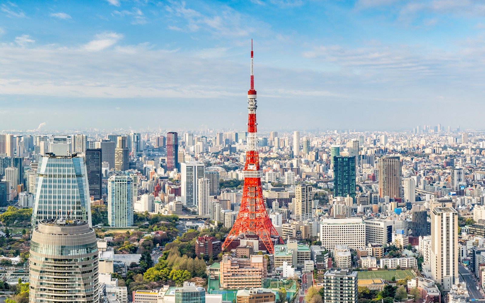 Amazing Tokyo 1-Day Bus Tour — gallery 3