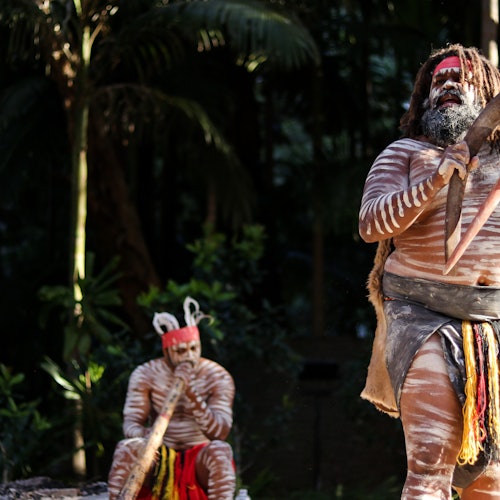 Currumbin Wildlife Sanctuary: Entry Ticket