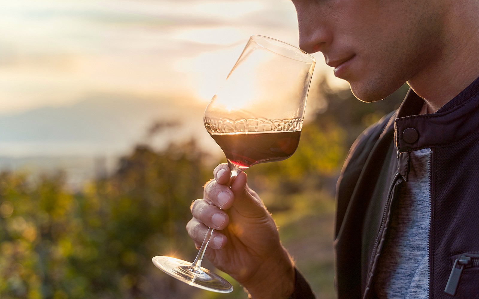 Guided Wine Tasting & Dinner Experience in Chianti — gallery 4