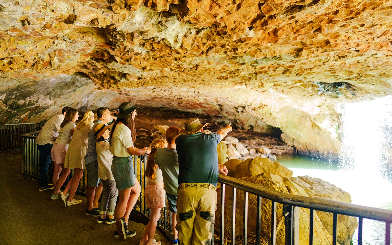 Natural Bridge & Springbrook Waterfalls Tour