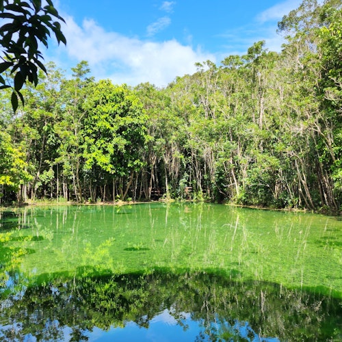 Tiger Cave Temple, Emerald Pool & Hot Springs: Full-Day Tour from Krabi — gallery 3
