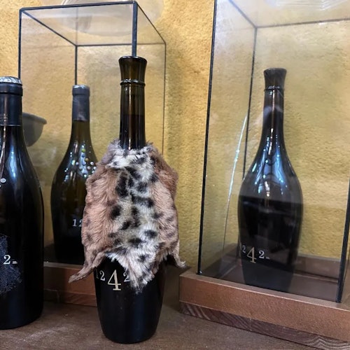Tenerife: Banana Plantation & Winery Tour + Wine Tasting — gallery 2