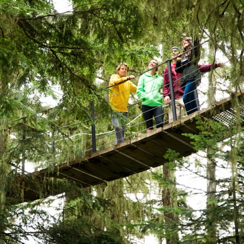 Whistler Ziptrek Ecotours: Zipline Adventure