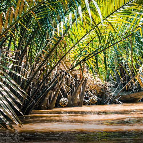 Cu Chi Tunnels & Mekong Delta: Full-Day Guided Tour from Ho Chi Minh — gallery 2