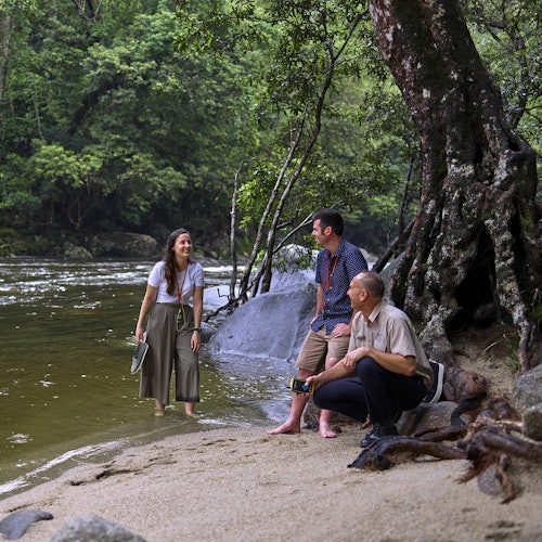Cape Tribulation, Daintree & Mossman: Day Tour from Cairns and Port Douglas — gallery 3