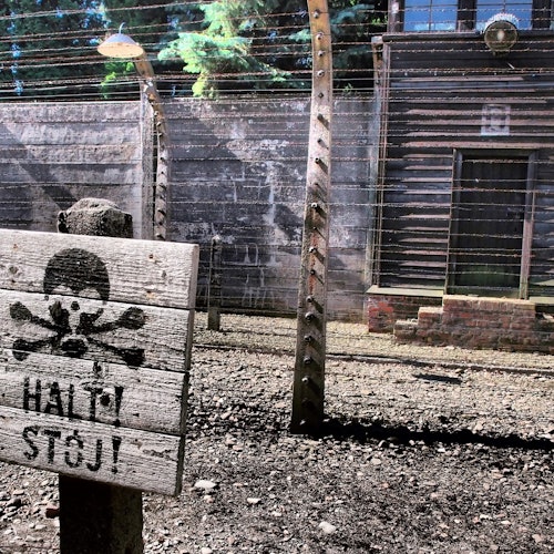 Auschwitz-Birkenau: Guided Tour + Transport — gallery 2