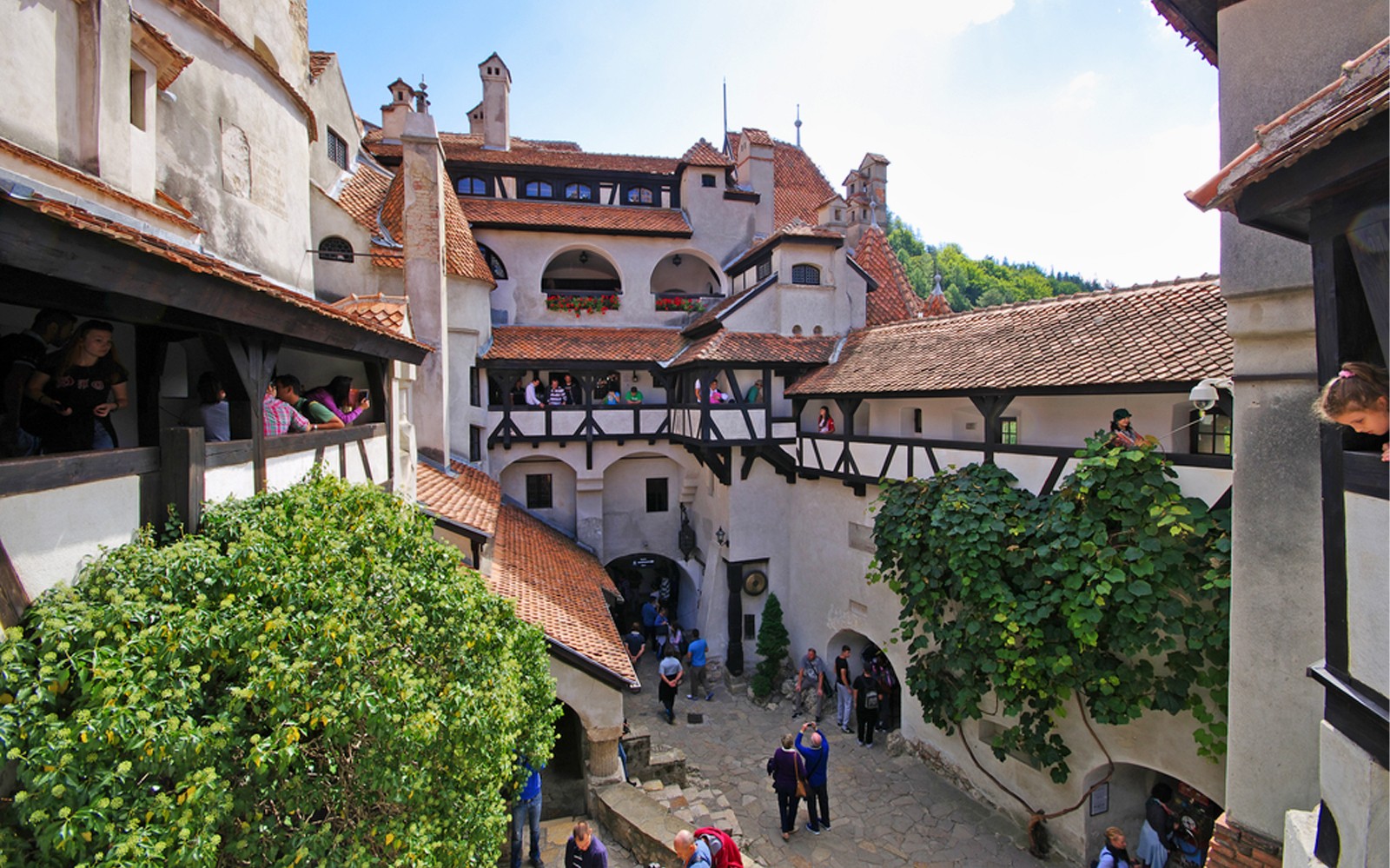 Day Trip To Discover Dracula's Life Journey - Private Tour — gallery 1