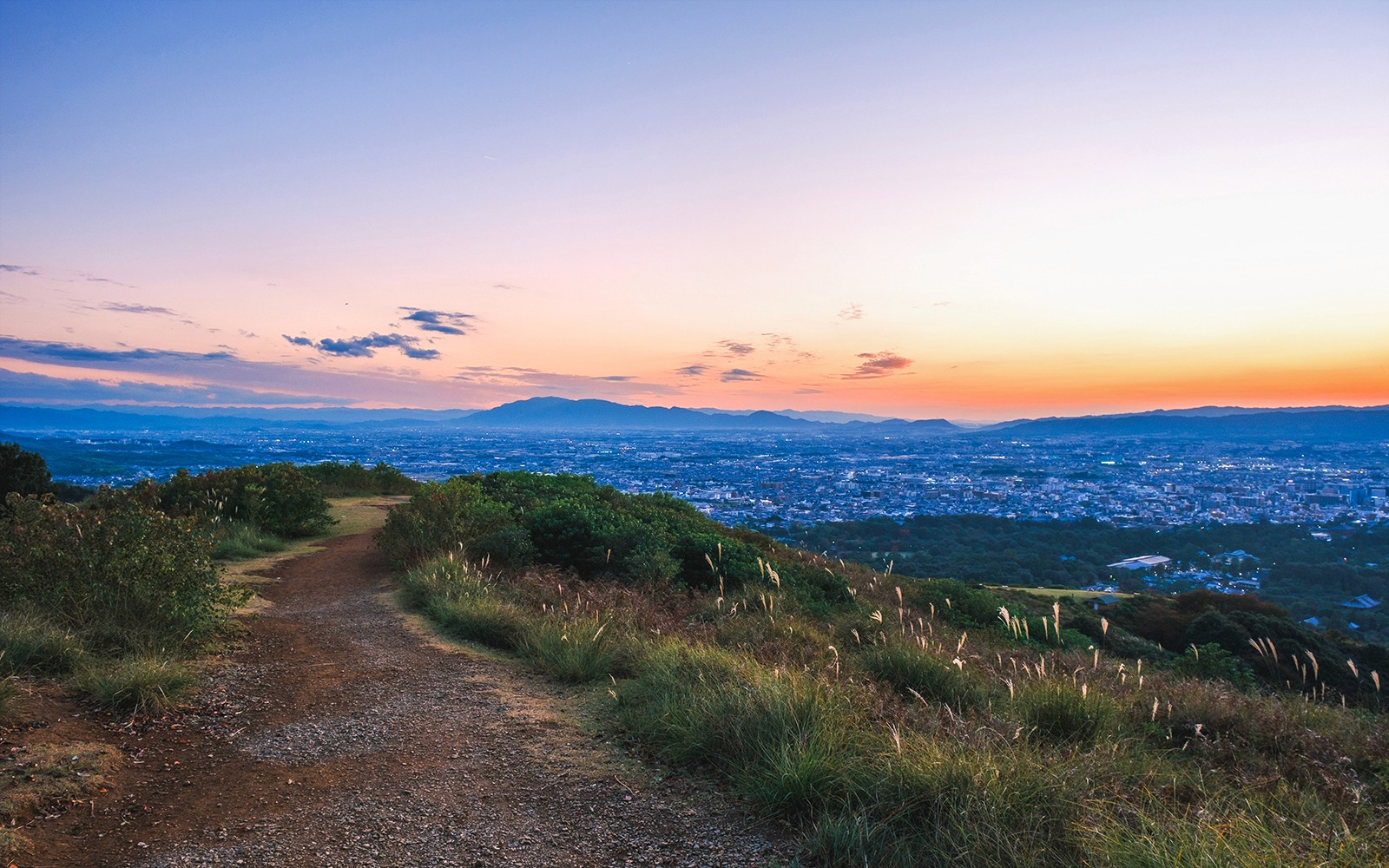 Kyoto & Nara by Private Car: Temples, Deer Park & Scenic Stops — gallery 5