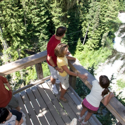 Whistler ZipTrek Ecotours: TreeTrek Adventure — gallery 4