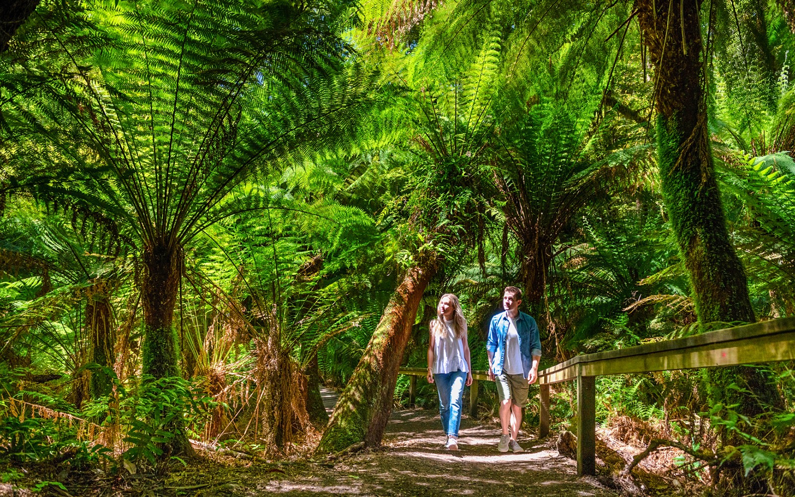 From Melbourne: Full-Day Great Ocean Road Guided Tour — gallery 1