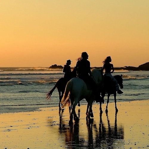 Horse Riding Tour: Sea and Desert with Transfer - Hurghada — gallery 4