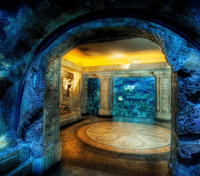 Shark Reef Aquarium at Mandalay Bay: Entry Ticket