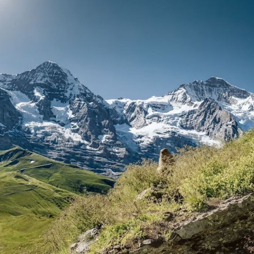 Jungfraujoch: Roundtrip Train from Grindelwald — gallery 2