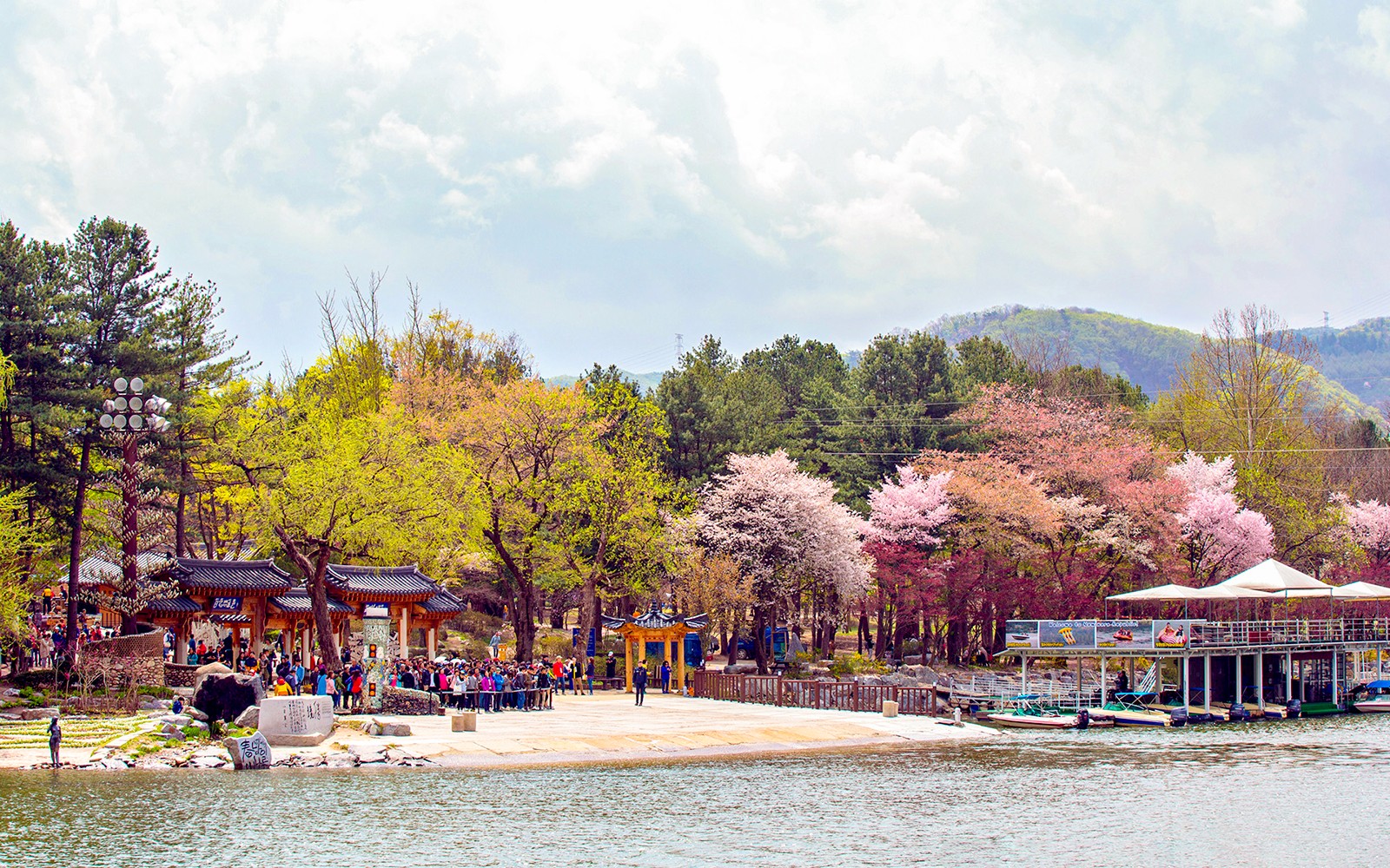 Round Trip Shuttle Bus Service to Nami Island — gallery 2