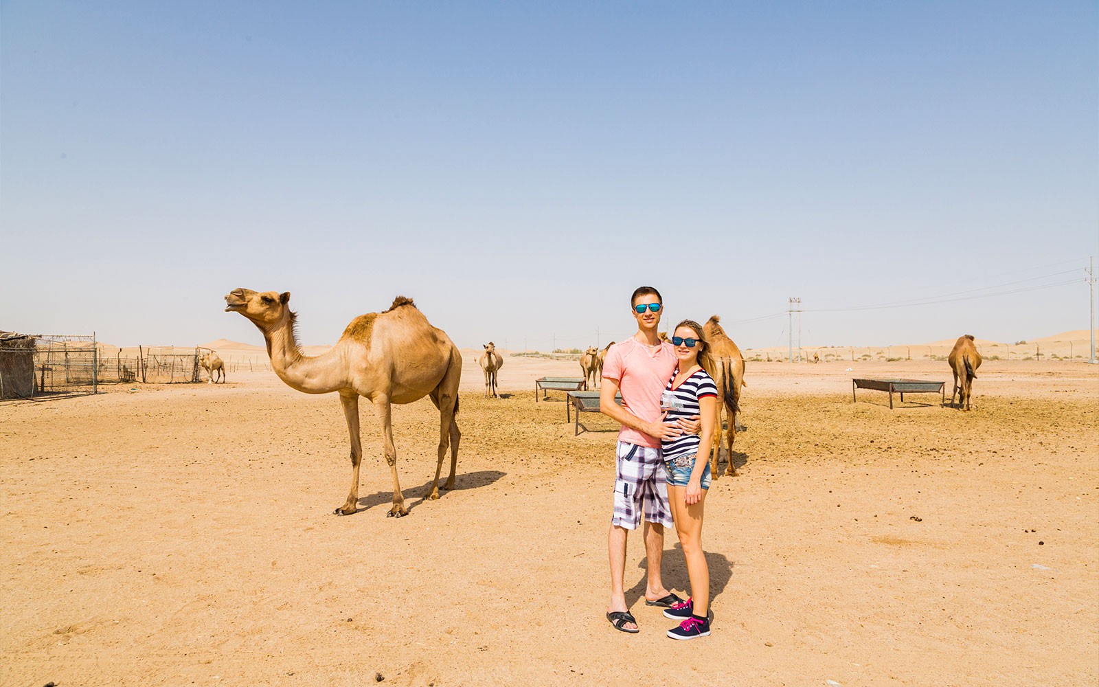 Morning Desert Safari with Dune Bashing & Sand Boarding