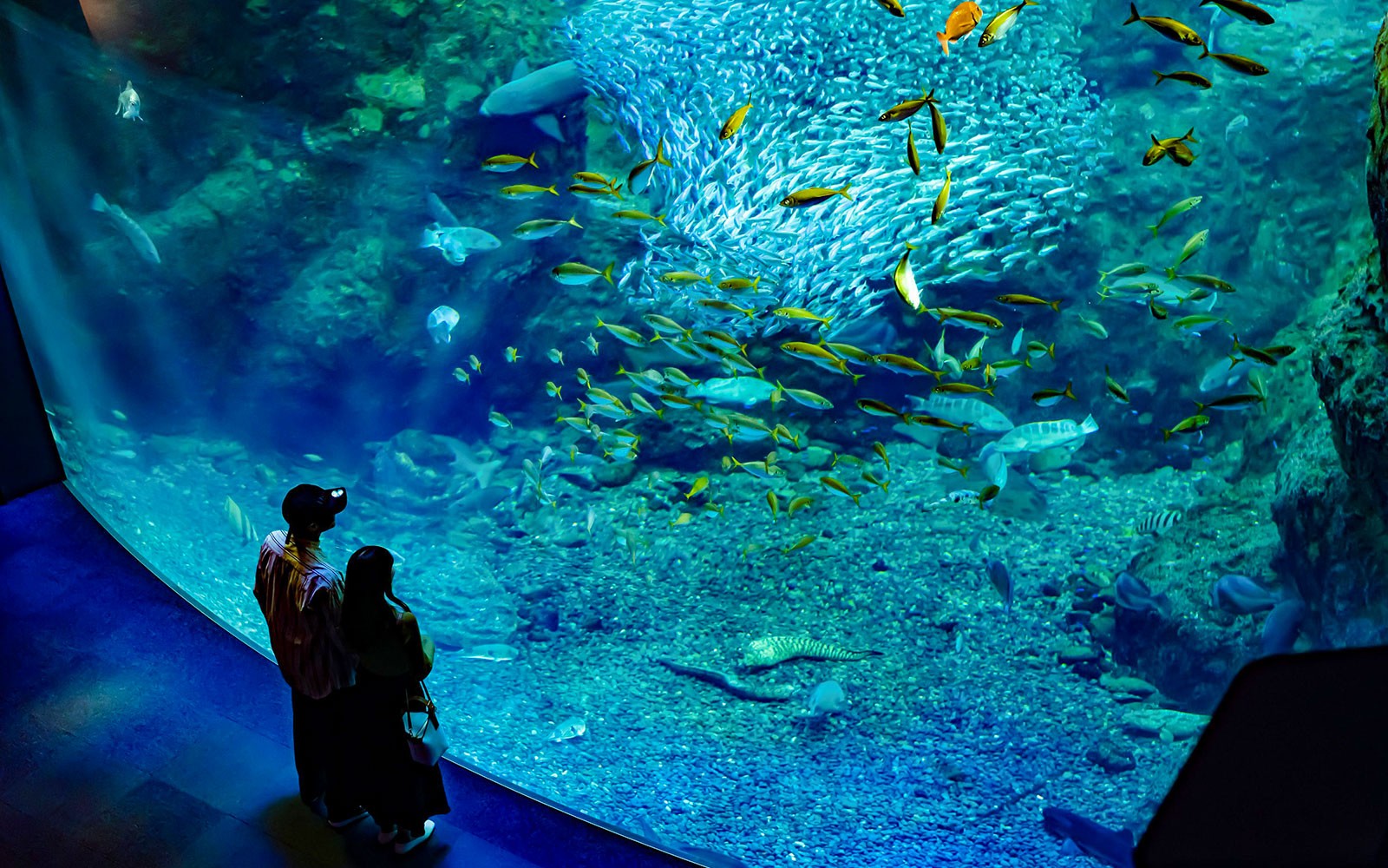 Enoshima Aquarium Tickets — gallery 1