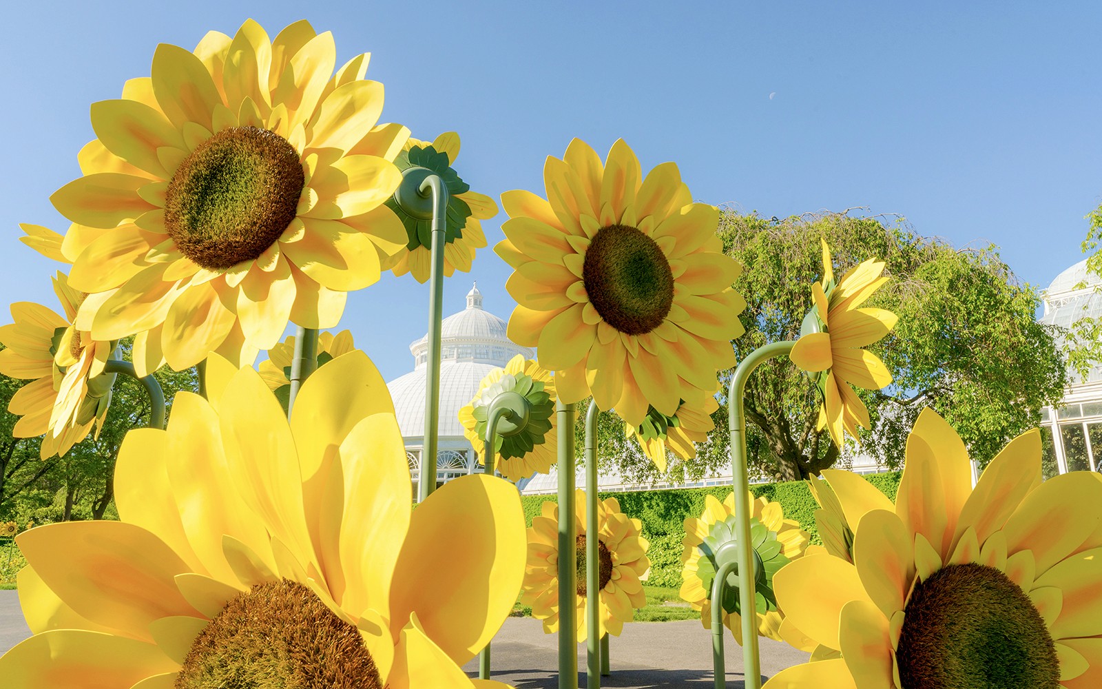 New York Botanical Garden Tickets — gallery 2