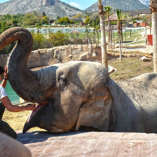 Terra Natura & Aqua Natura Benidorm: Combi Entry Ticket