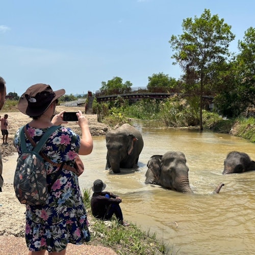 Freedom Elephant Reserve Phuket: Guided Tour + Roundtrip Transport — gallery 2