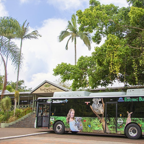 Kuranda Rainforestation & Transfer from Cairns — gallery 1
