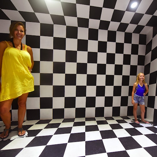 Xenses Park: Fast-Track Admission & Transport — gallery 3
