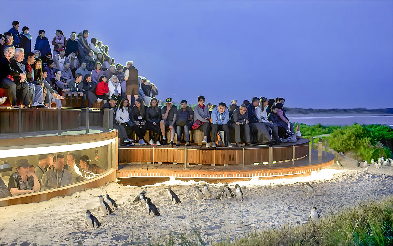 From Melbourne: Half/Full-Day Phillip Island Day Trip with Penguin Parade