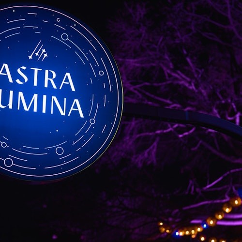 Astra Lumina: Currumbin Wildlife Sanctuary — gallery 3