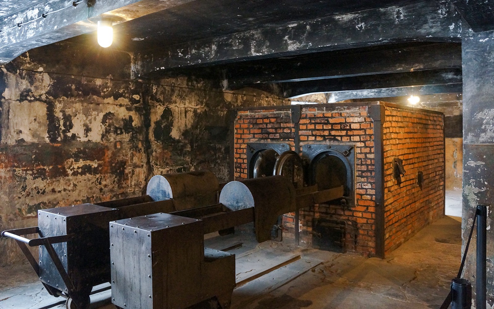  From Krakow: Auschwitz-Birkenau & Wieliczka Salt Mine Guided Tour
