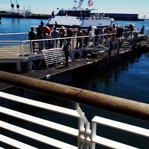 Long Walk to Freedom & Robben Island Private Tour — gallery 2