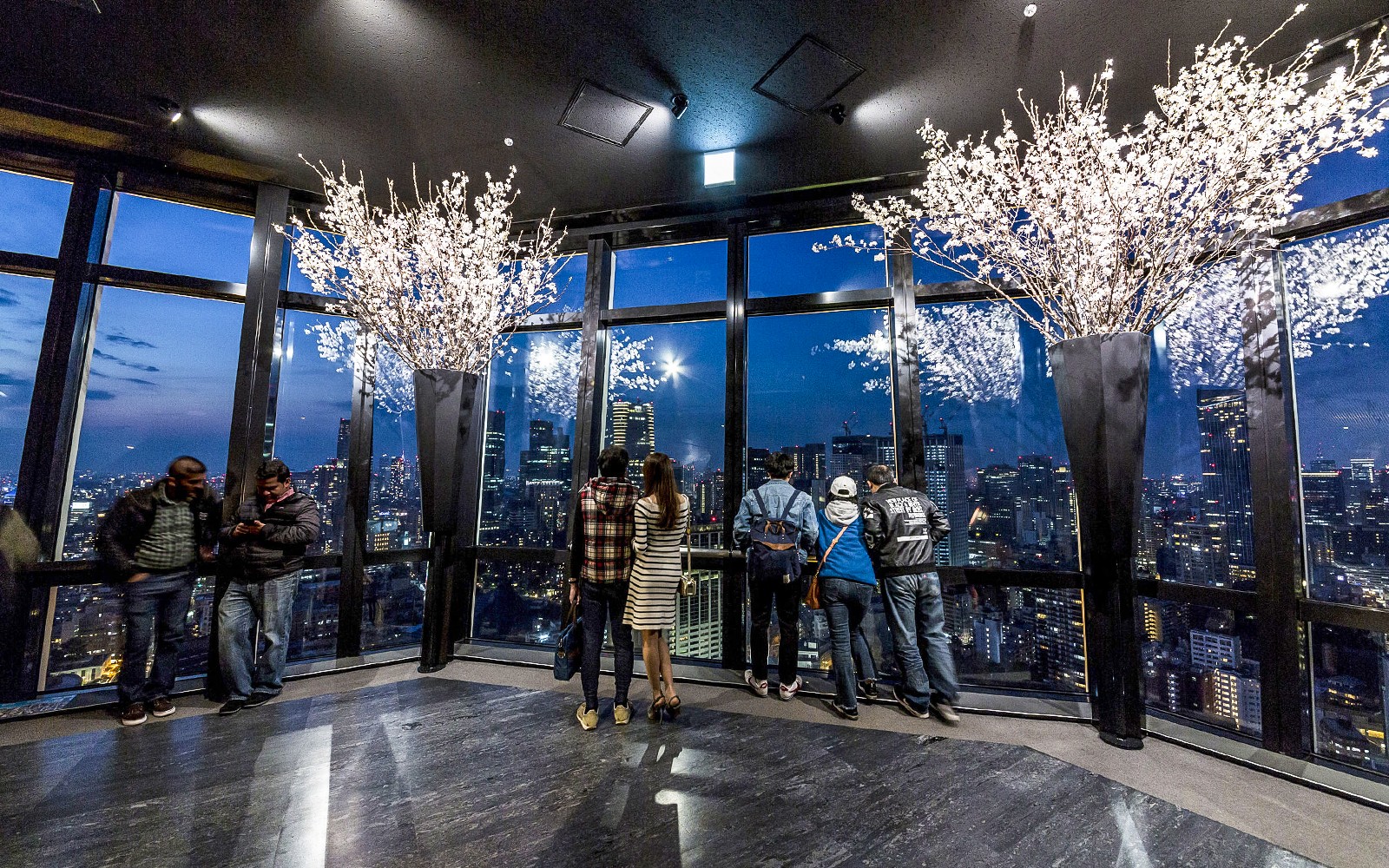 Tokyo Tower Top Deck Tickets