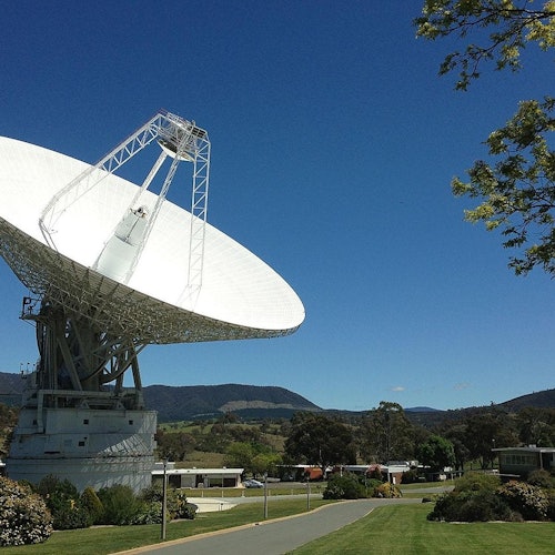 Canberra: Guided Wildlife Tour + Roundtrip Transportation — gallery 4
