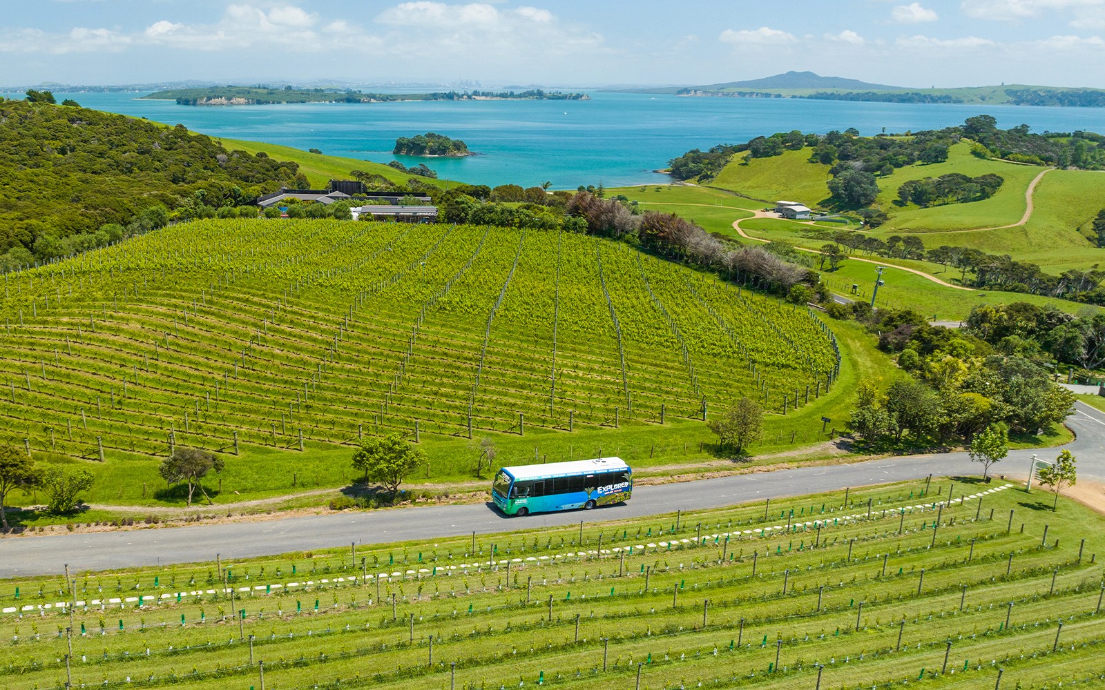 Western Explorer: Waiheke Island Hop-on Hop-off Bus Tour with Optional Ferry Transfers