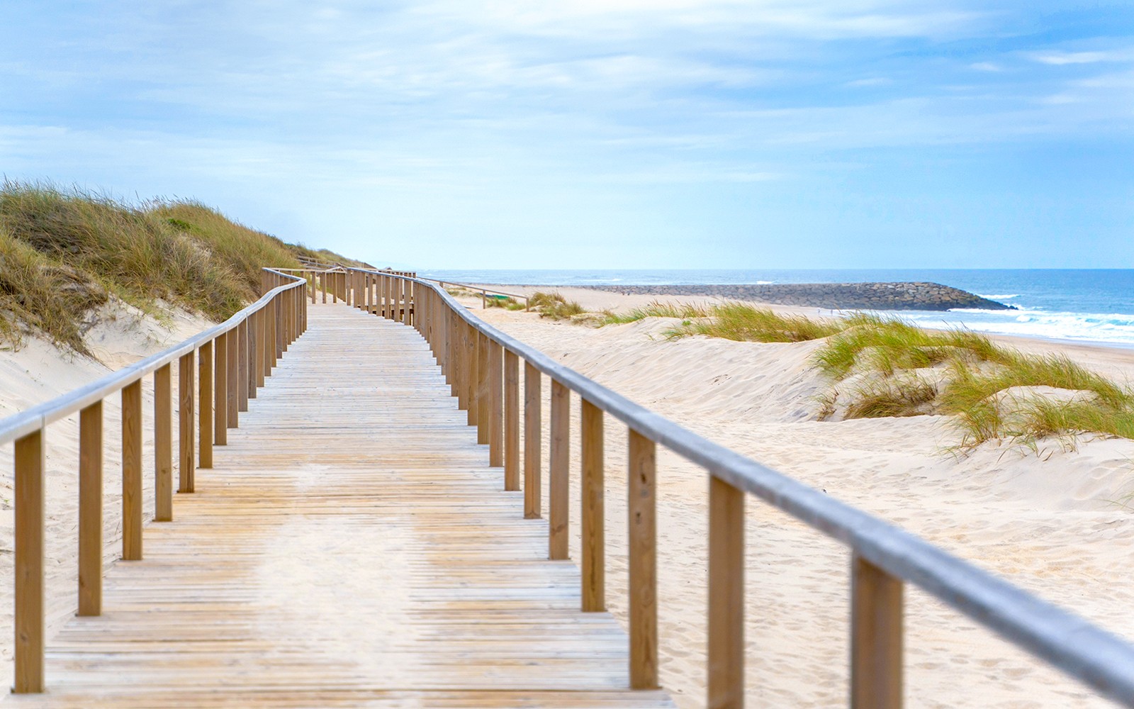 Aveiro Half-Day Guided Tour with Moliceiro Cruise