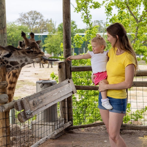 ZooTampa at Lowry Park: Fast Track Ticket — gallery 2