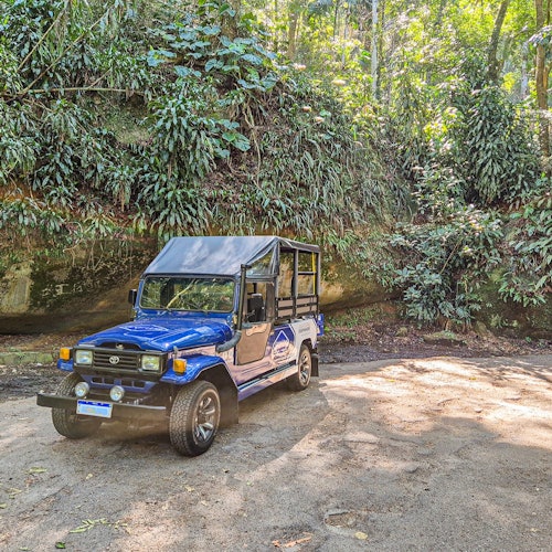 Tijuca National Park: Guided Jeep Adventure from Rio de Janeiro — gallery 4